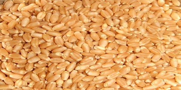 Durum