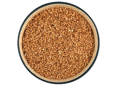 Golden-Sesame-Seeds