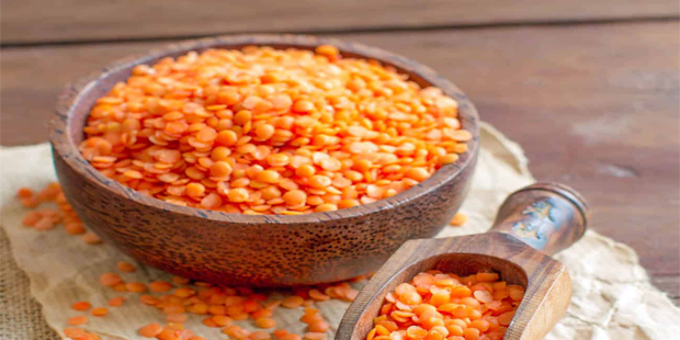 Lentil