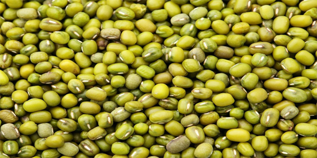 Mung Bean