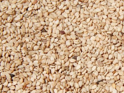 Sesame Seed Page